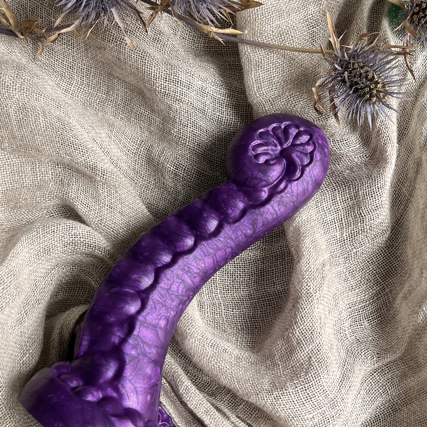 Dildo tentacule violet en silicone, le modèle Néa Enroulée est idéal pour la stimulation du point G