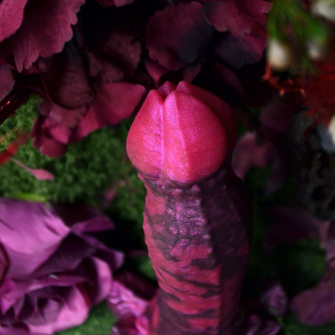 Nymf Ornement des nuits