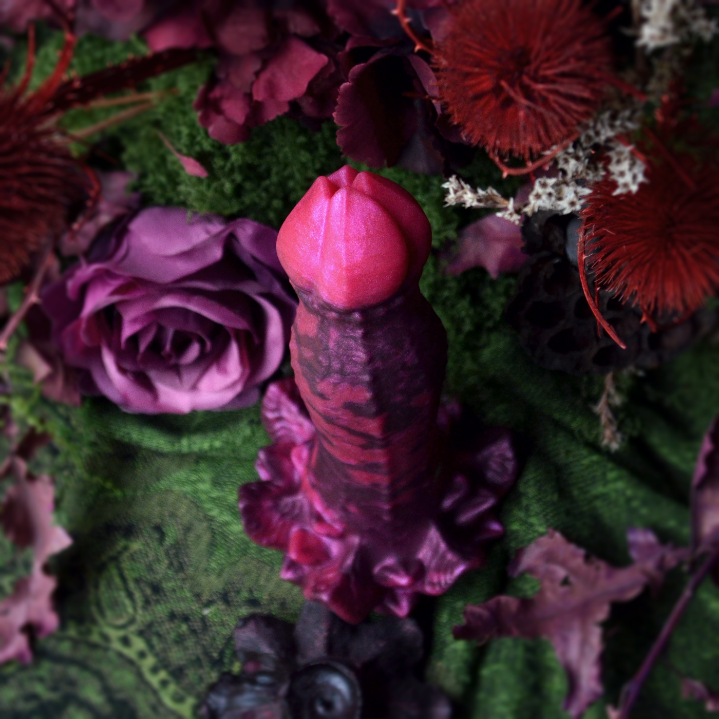 Nymf Ornement des nuits