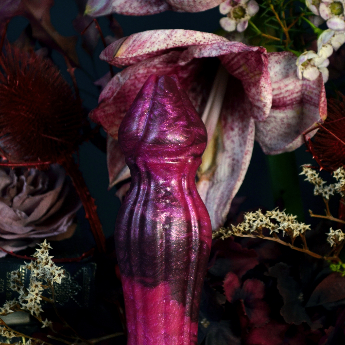 Nymf Ornement des nuits