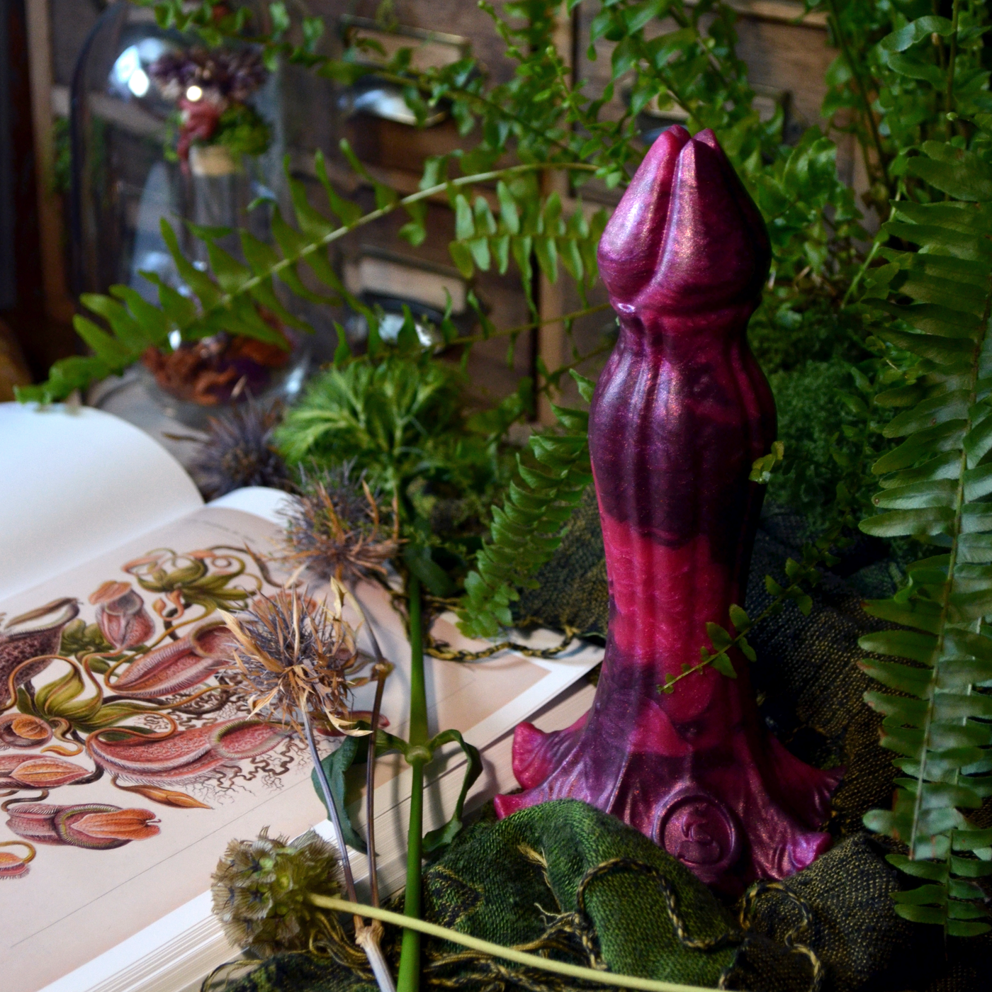 Nymf Ornement des nuits