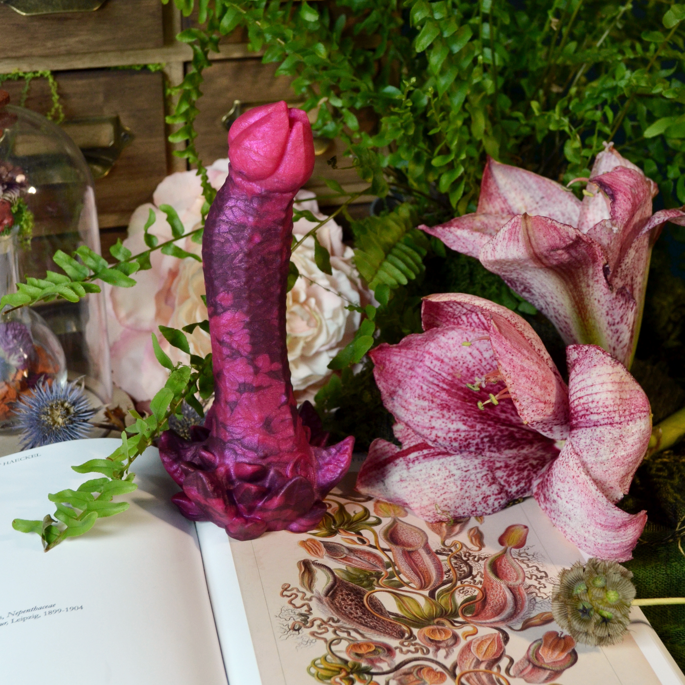 Nymf Ornement des nuits