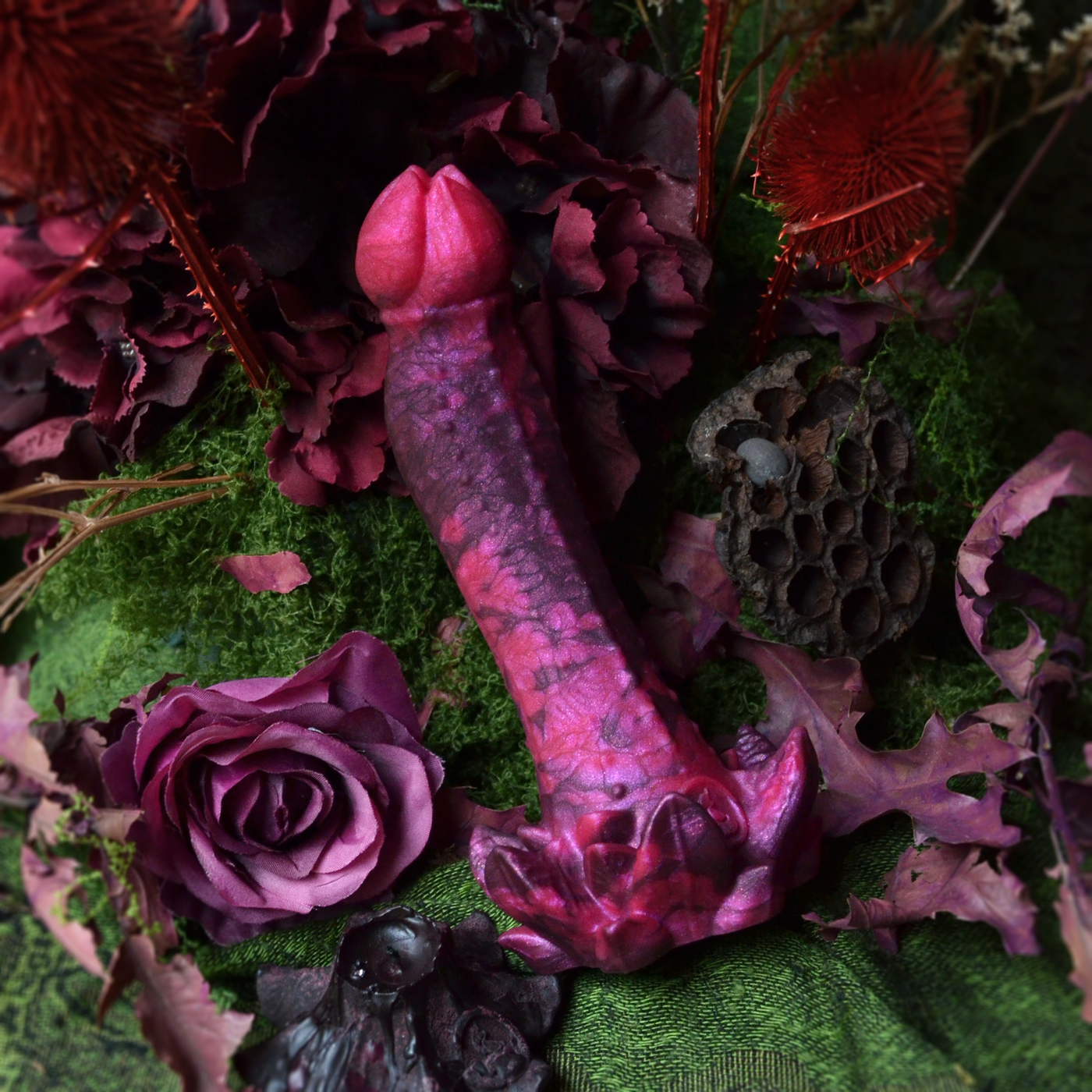 Nymf Ornement des nuits