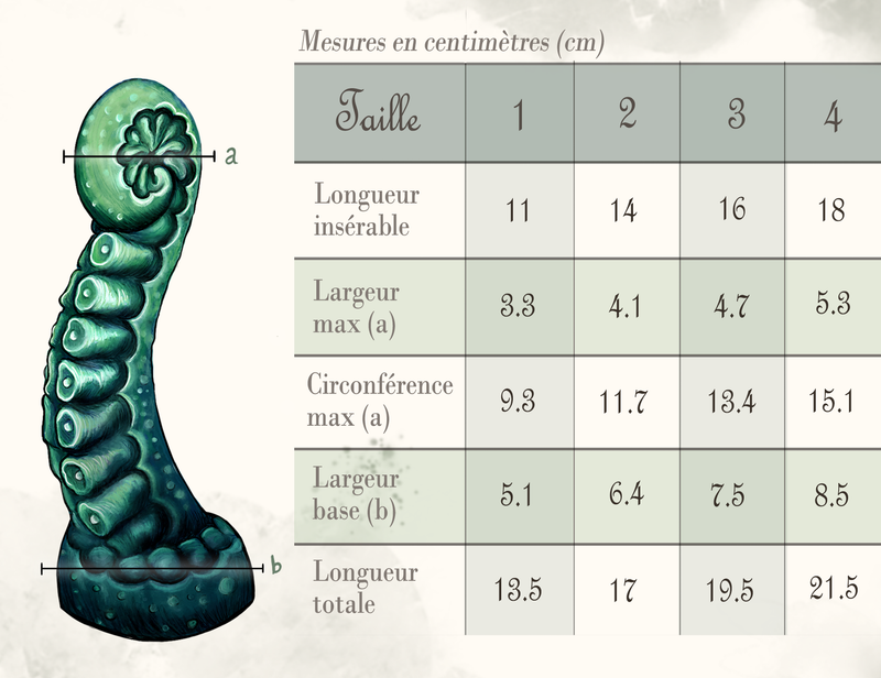 Nea Enroulée Guide Taille