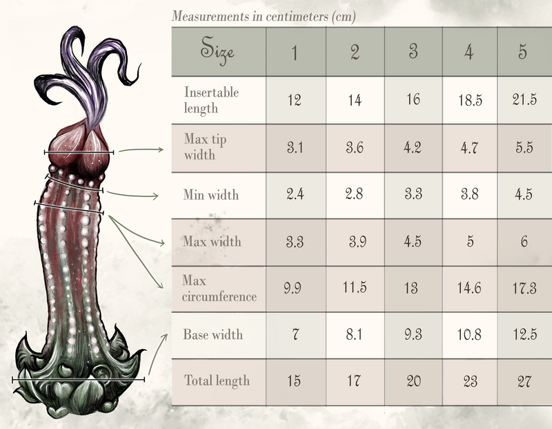 Nymf Arquée Size Guide