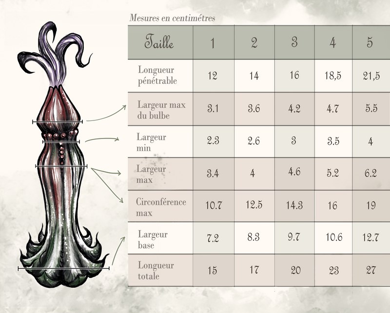 Nymf Tulipe Guide Taille